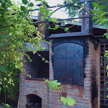 Vila Ljubica Vrnjačka Banja Dış mekan fotoğraf